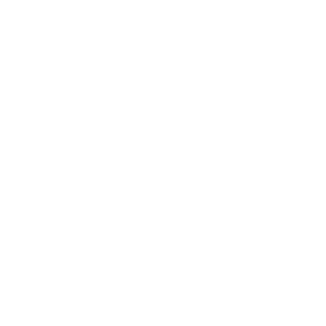black panther